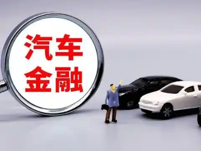 鸡东押车贷款不是本人可以么?